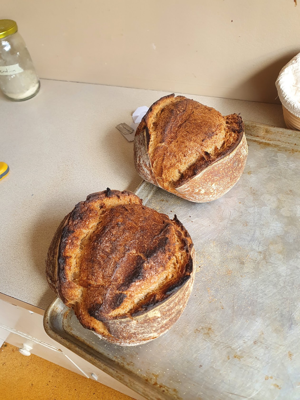 Freshly baked sourdough bread loaf
