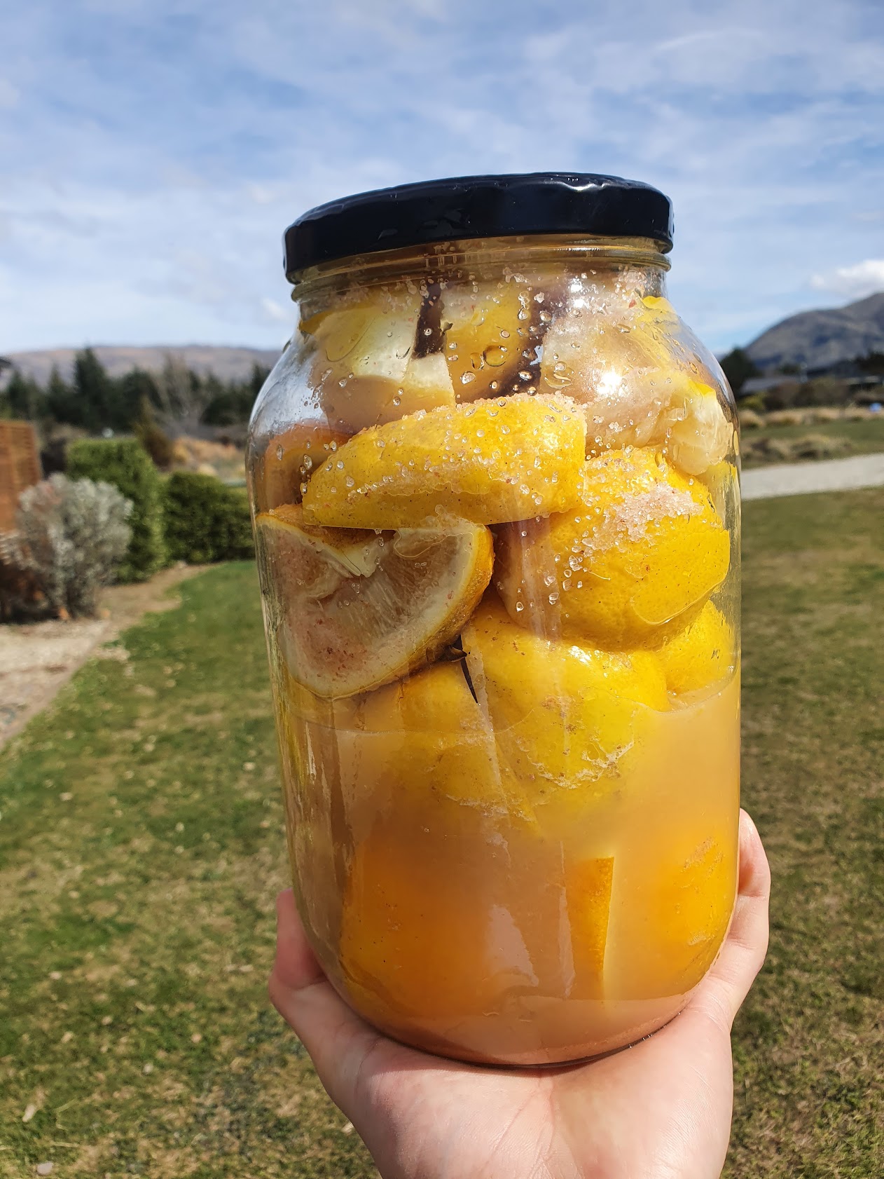 Preserved lemons in jar